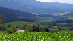 Ländliche Landschaft mit einem Feld, sanften Hügeln und einem Dorf in der Ferne.