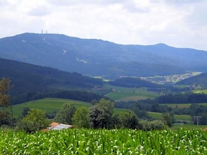 Paesaggio rurale con un campo coltivato, dolci colline e un villaggio in lontananza.