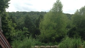 Natural pool - Big Cedar 1 Bedroom Lodge 102 (Ridgedale)