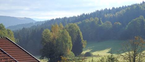 A view of a forested valley with a distant mountain range.