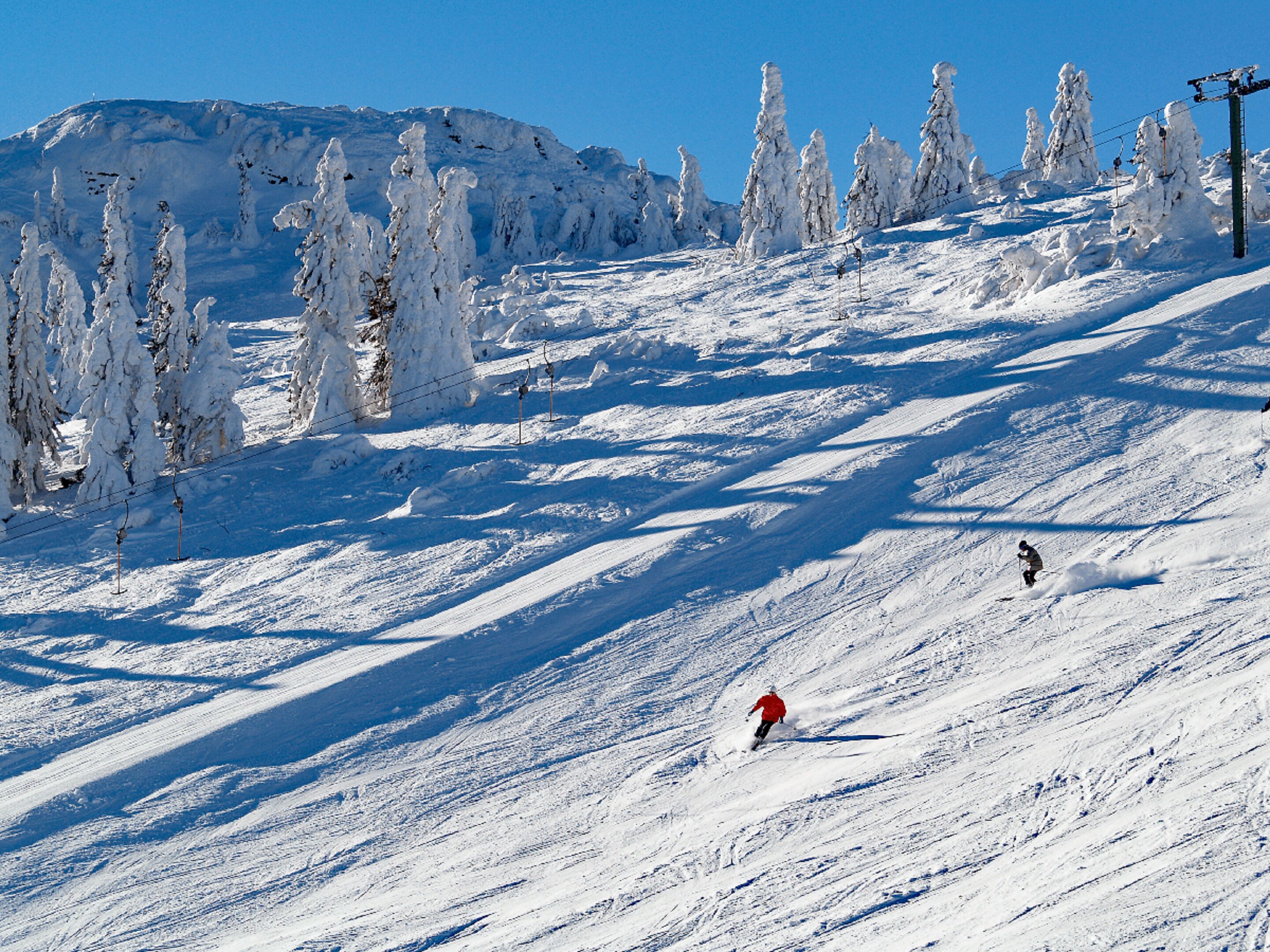 Een besneeuwde piste met skiërs, bomen en een heldere lucht.