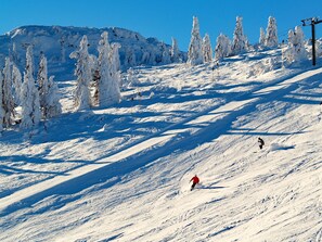 A snowy ski slope with ski lifts and trees. - Bayerische Gastwirtschaft Dimpfl-Stadl (Lam)