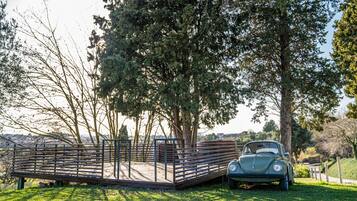 Un coche antiguo estacionado en una zona cubierta de césped, con una valla metálica y árboles al fondo.