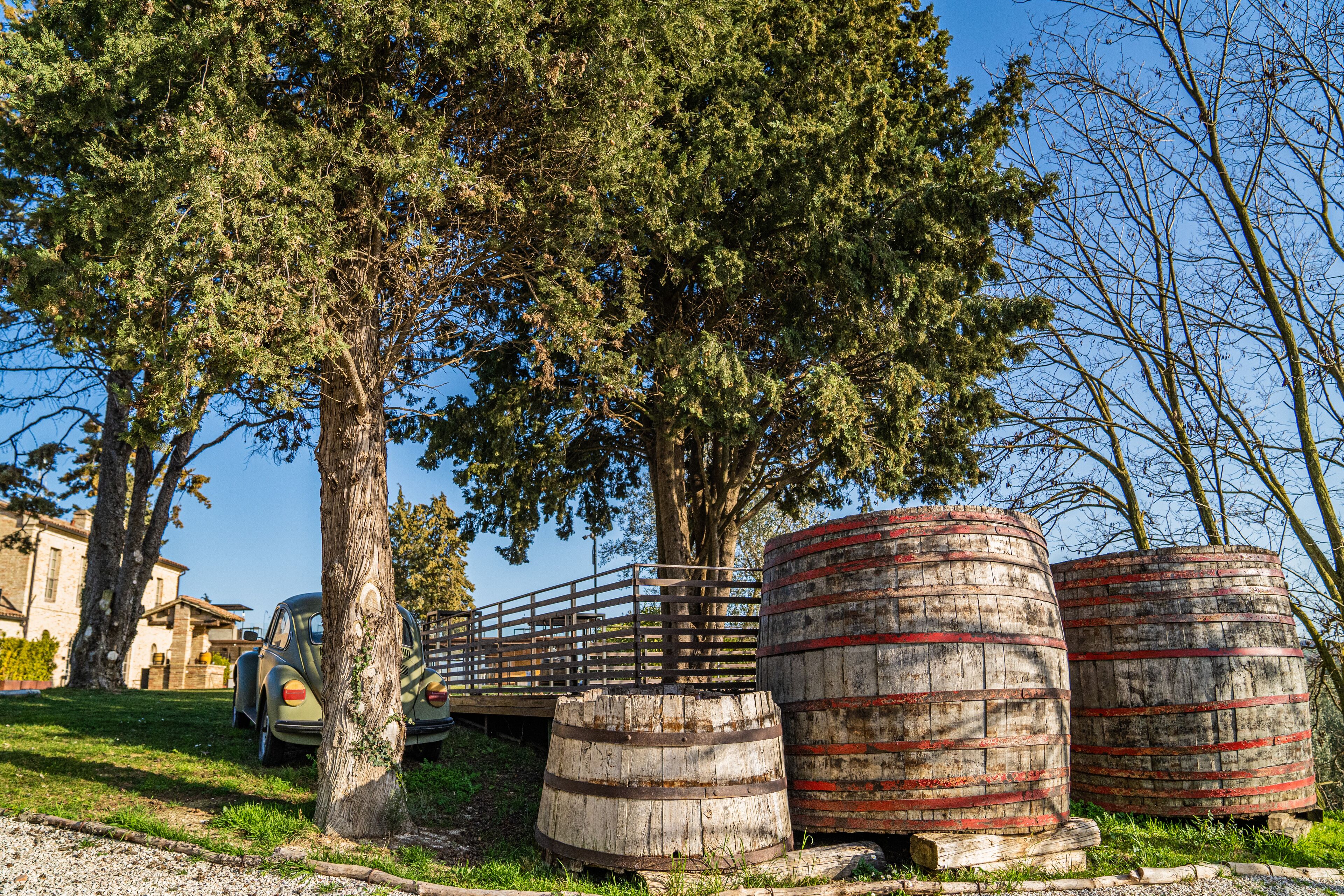 A rustic setting with wooden barrels, a vintage car, and a tree-lined path.