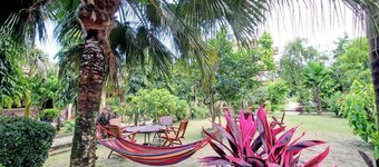 Eden jungle resort was established in 1986 AD. It was located in sauraha village
