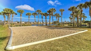 Een strandvolleybalveld met een net, omringd door palmbomen en een heldere lucht.