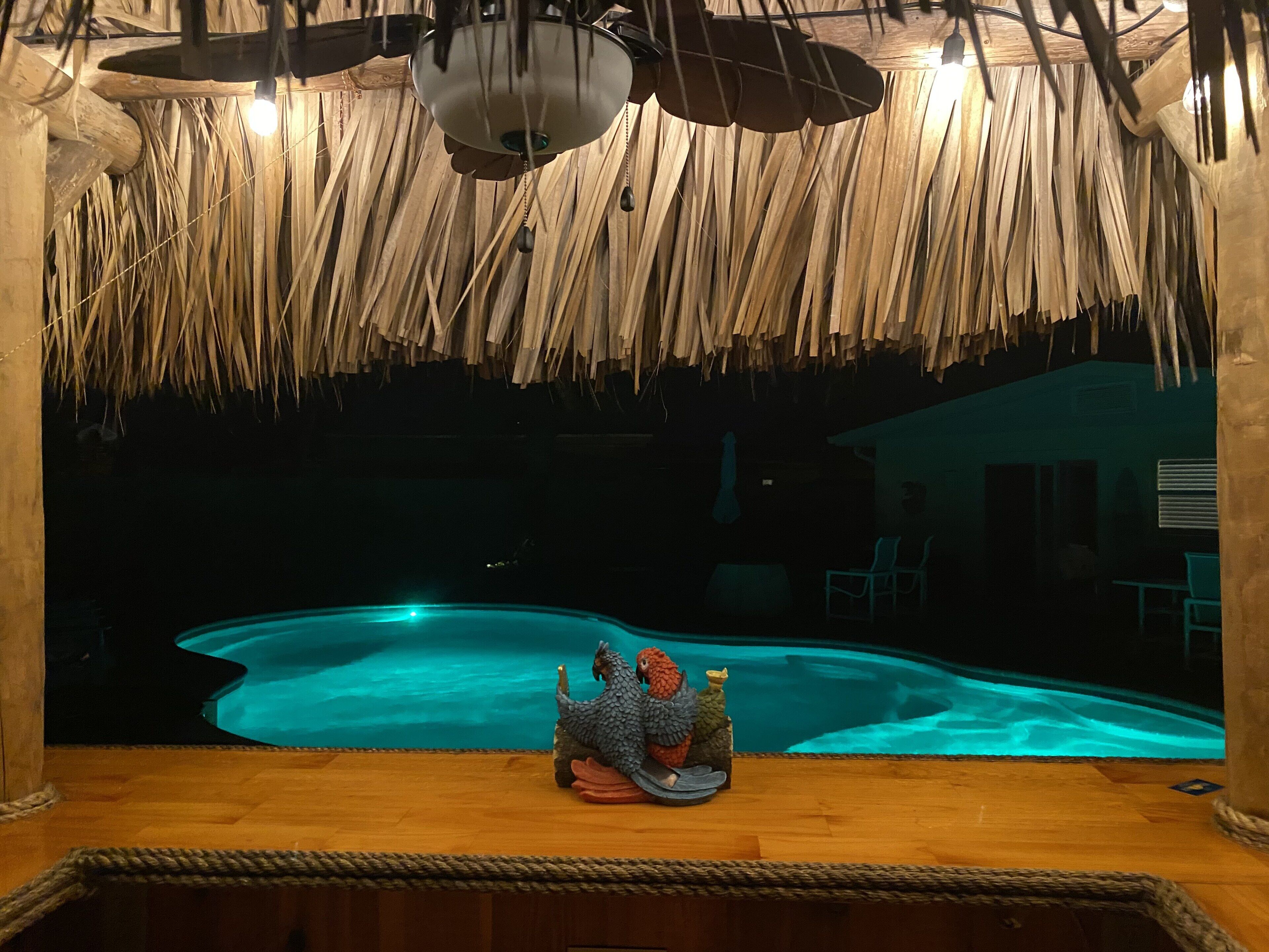 A room with a thatched ceiling, a wooden floor, and a pool with a blue hue.