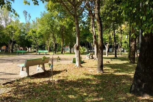 "Mi Casa como Tu Casa" / "My Home as Your Home"