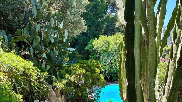 Eine Steintreppe führt zu einem Pool, der von üppigem Grün und Kakteen umgeben ist.