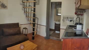 TV, foosball, table tennis, books