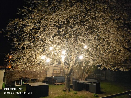 Chez Aurélia: Tiny house with private jacuzzi