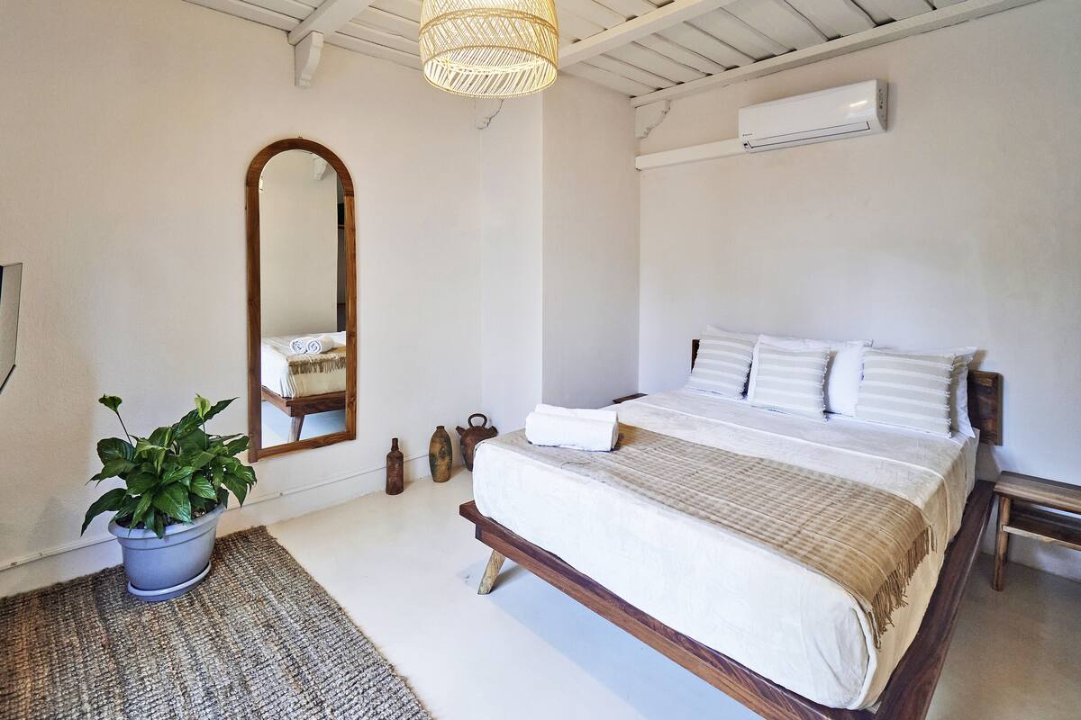 A bedroom with a bed, a potted plant, a mirror, and an air conditioner.