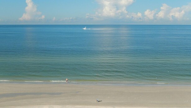 A beach with a clear sky and calm sea. - DIRECT BEACHFRONT - PENTHOUSE CORNER UNIT!!  Totally Renovated! (Indian Shores)