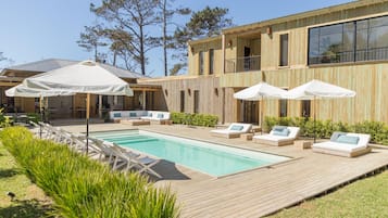 Outdoor pool, sun loungers