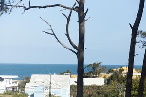 Superior Double Room, 1 King Bed, Sea View | Beach/ocean view