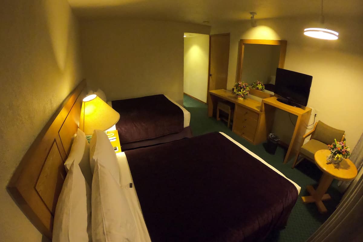 Ein Hotelzimmer mit zwei Betten, einem Schreibtisch, einem Sessel, einem Fernseher und einem kleinen Tisch mit Blumen.