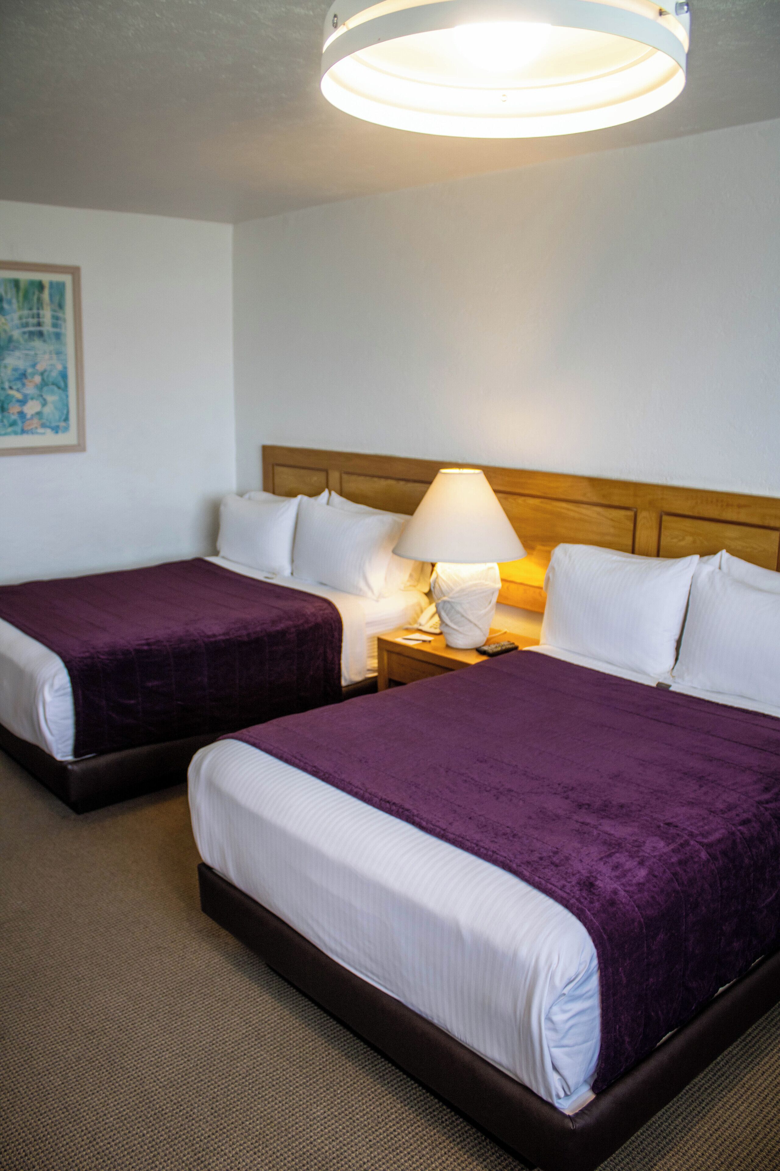 Habitación de hotel con dos camas, cada una con una colcha morada y ropa de cama blanca. Tiene un cabecero de madera, una mesita de noche con una lámpara y un cuadro en la pared.
