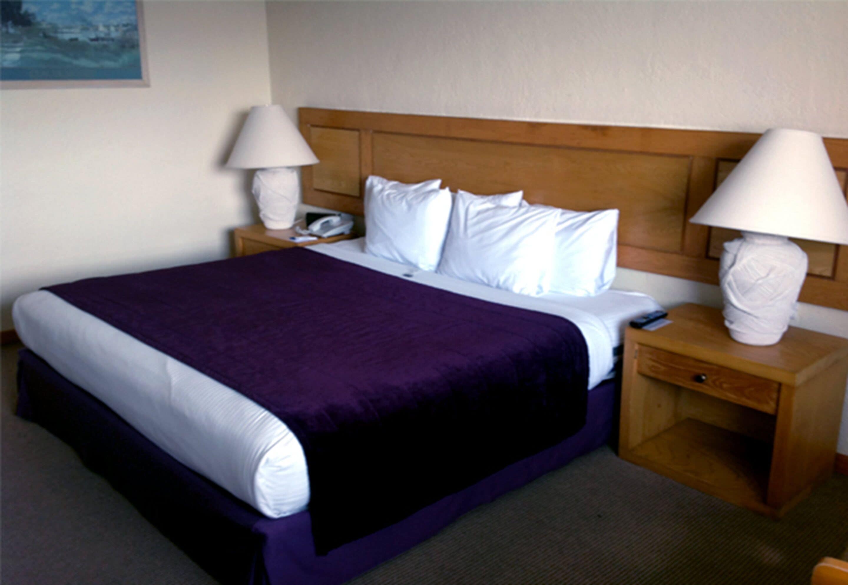 junior room, 1 king bed, non smoking, garden view | desk, iron/ironing board, free wifi, bed sheets