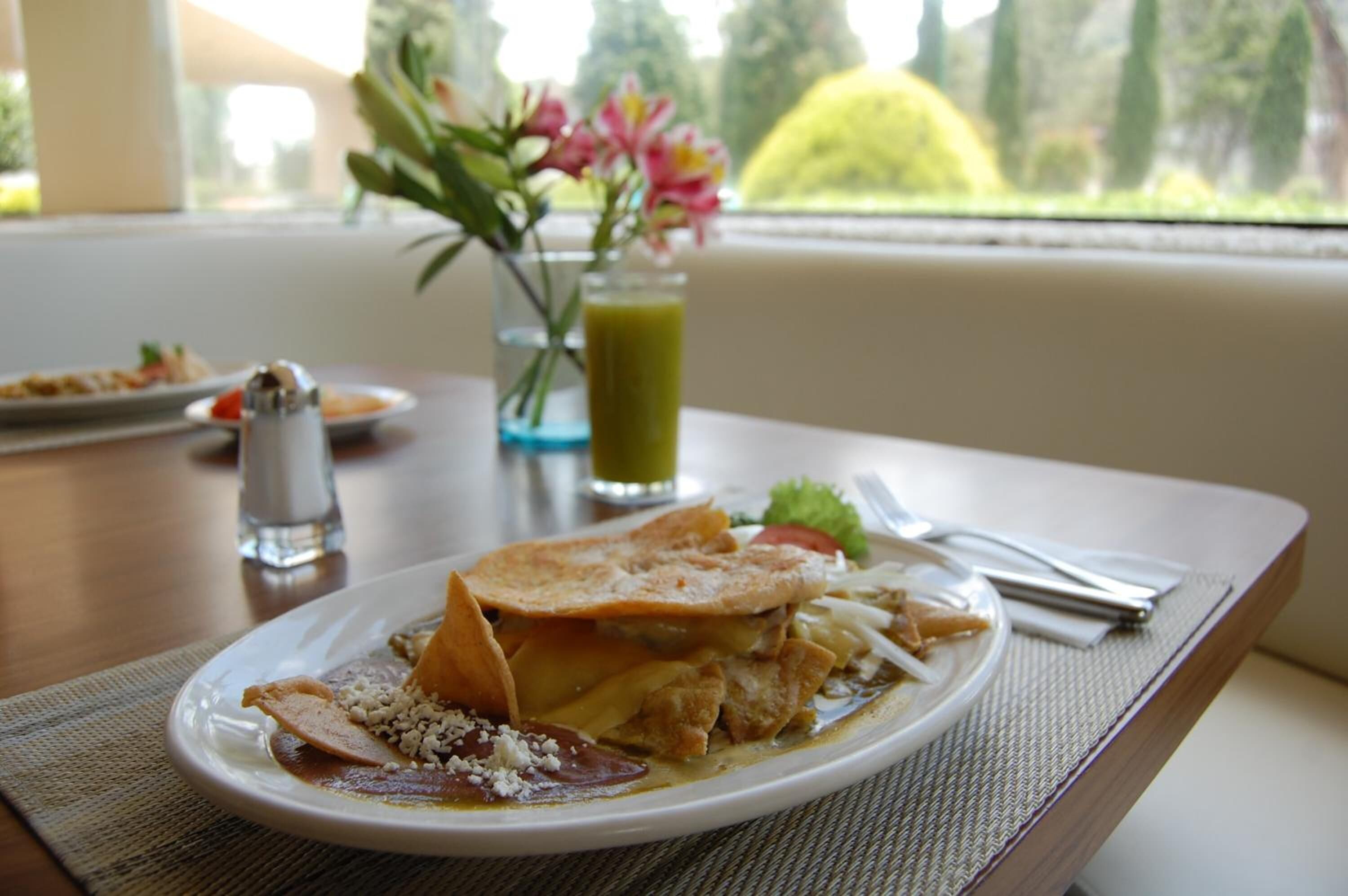 A plate of food with a salad and a drink on a table with a view of greenery outside.
