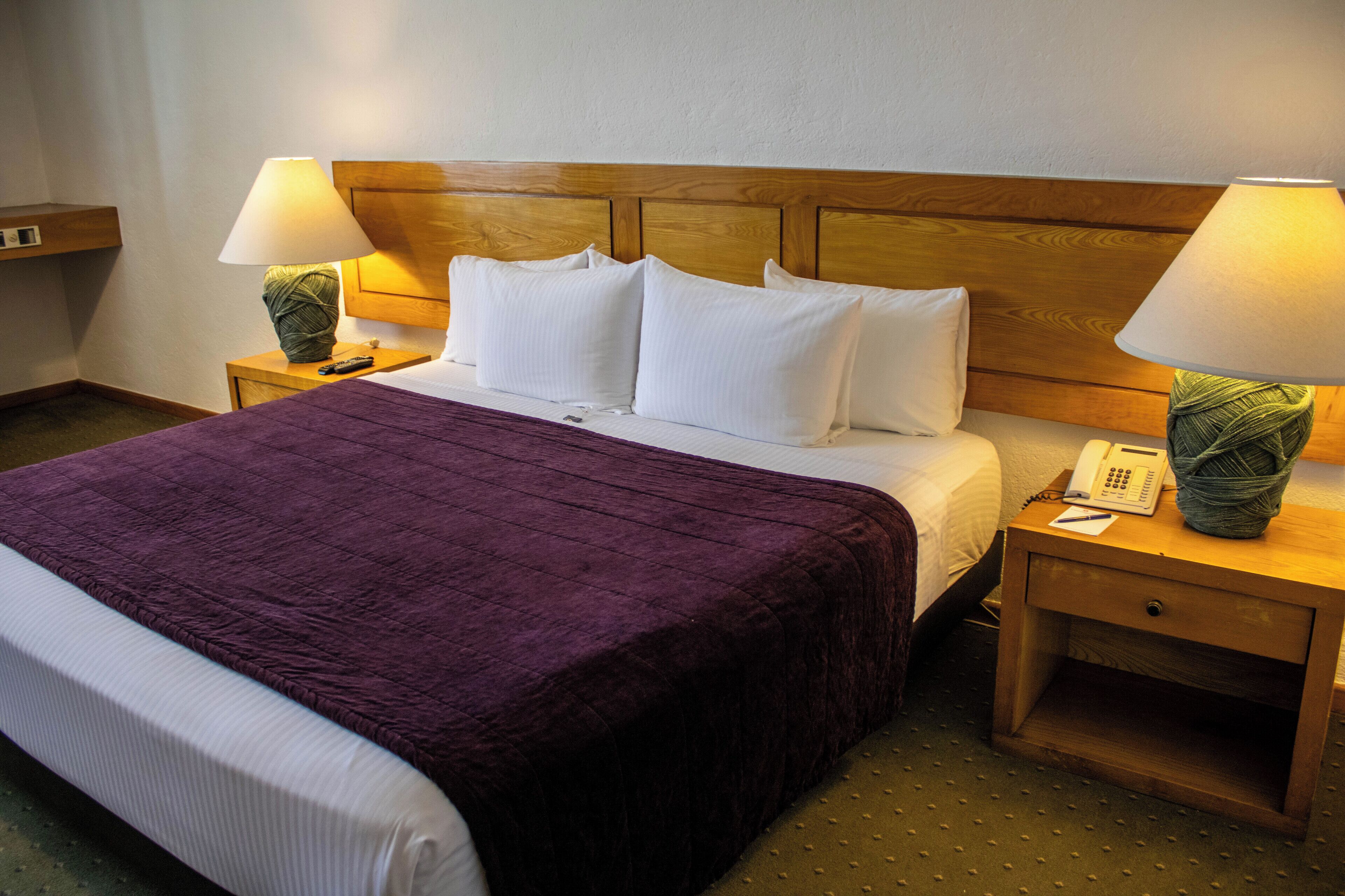 executive room, 1 queen bed, non smoking | desk, iron/ironing board, free wifi, bed sheets