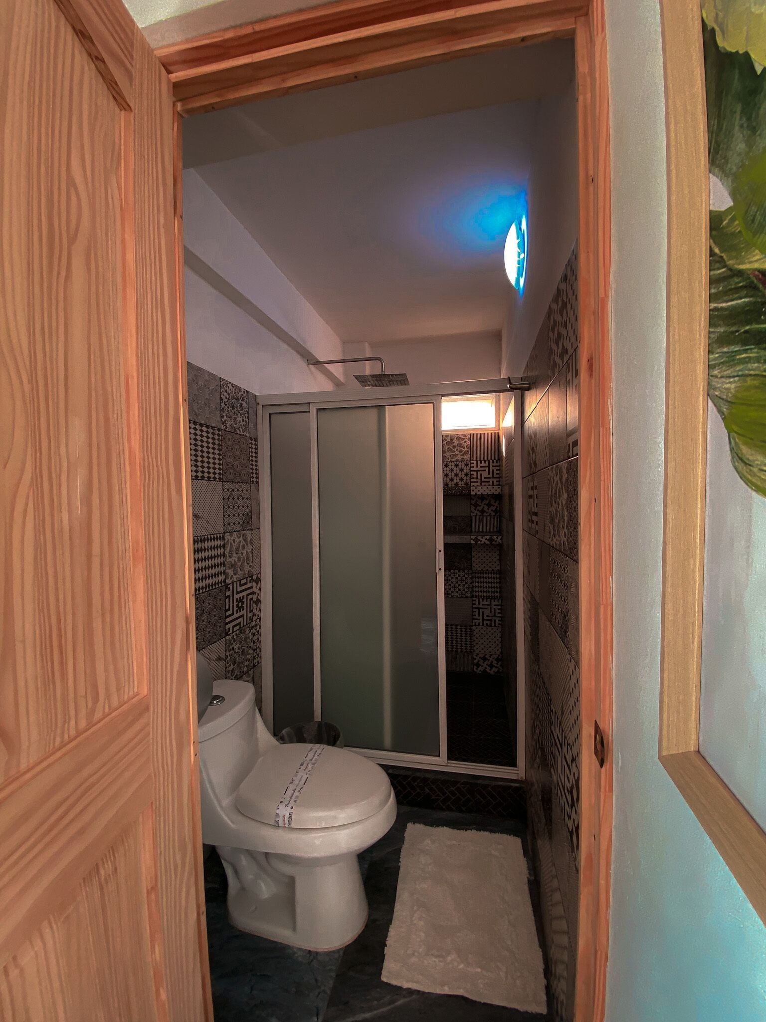 Un baño con inodoro, ducha y azulejos estampados.