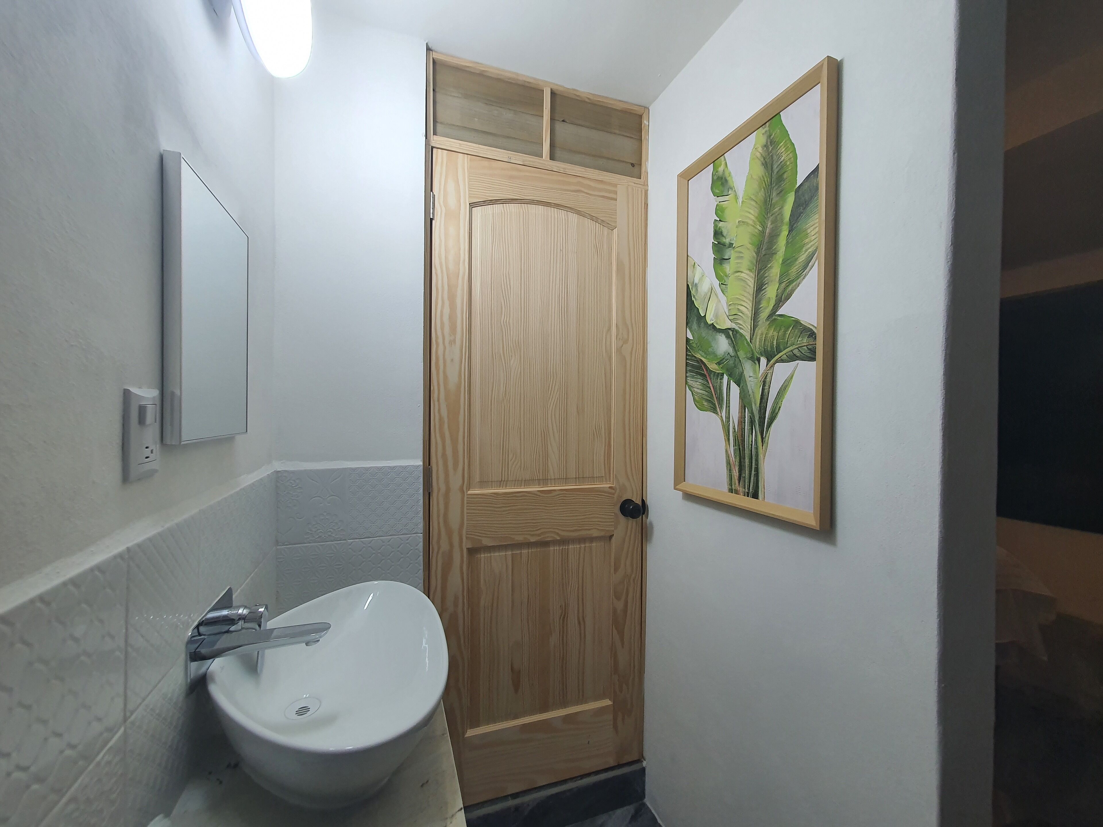 A bathroom with a wooden door, a white sink, a mirror, and a framed plant.