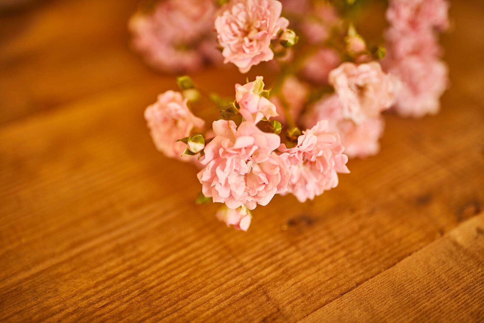منوع