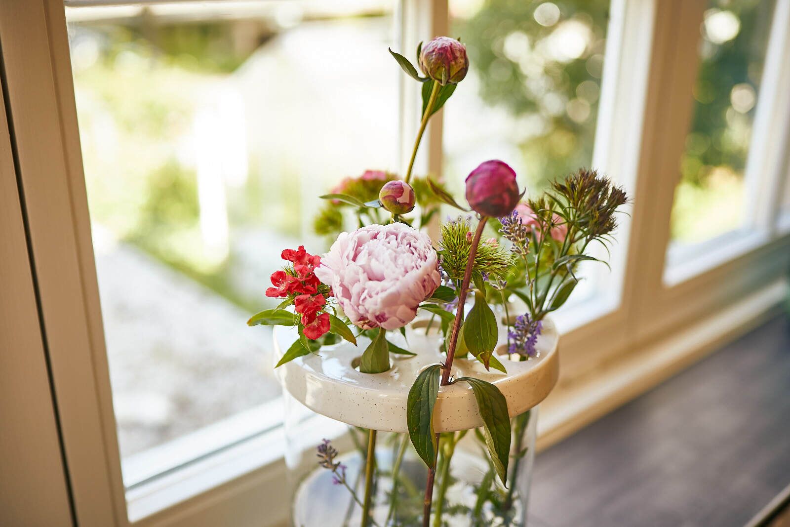 A window with a view of greenery outside.