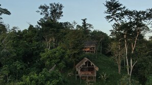 A rustic wooden cabin nestled in a dense forest, surrounded by lush greenery and trees.