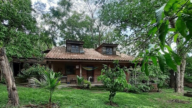Una casa rústica con techo de tejas, rodeada de abundante vegetación y árboles.
