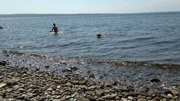 On the beach, sun-loungers, beach towels
