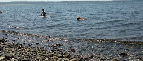 On the beach, sun-loungers, beach towels