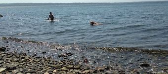 Waterfront - afsondret strand, stor gård og storslået udsigt - svømme, fisk, båd