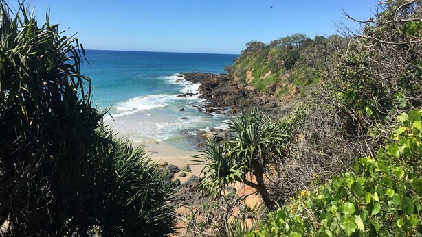 A coastal landscape with rocky terrain and dense vegetation.