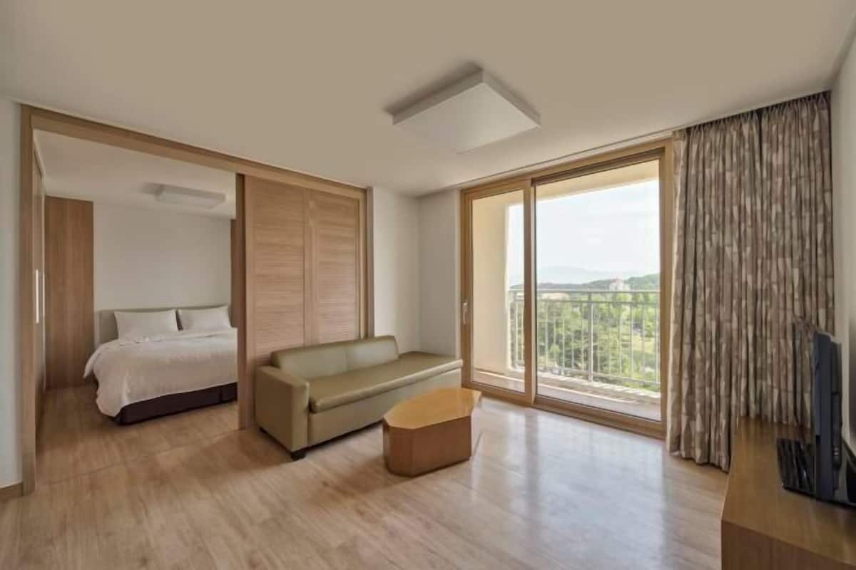 2 bedrooms, down comforters, blackout drapes, bed sheets
