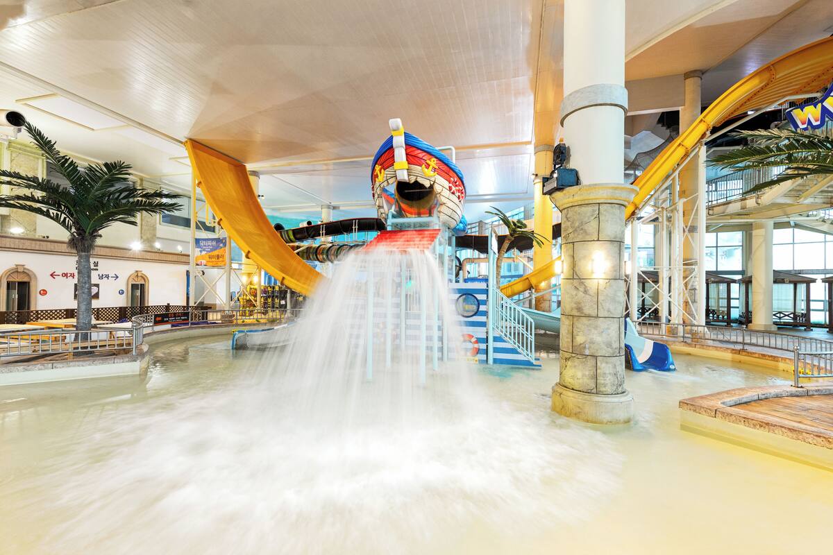 A water slide with a colorful design, a palm tree, and a yellow slide on the right.