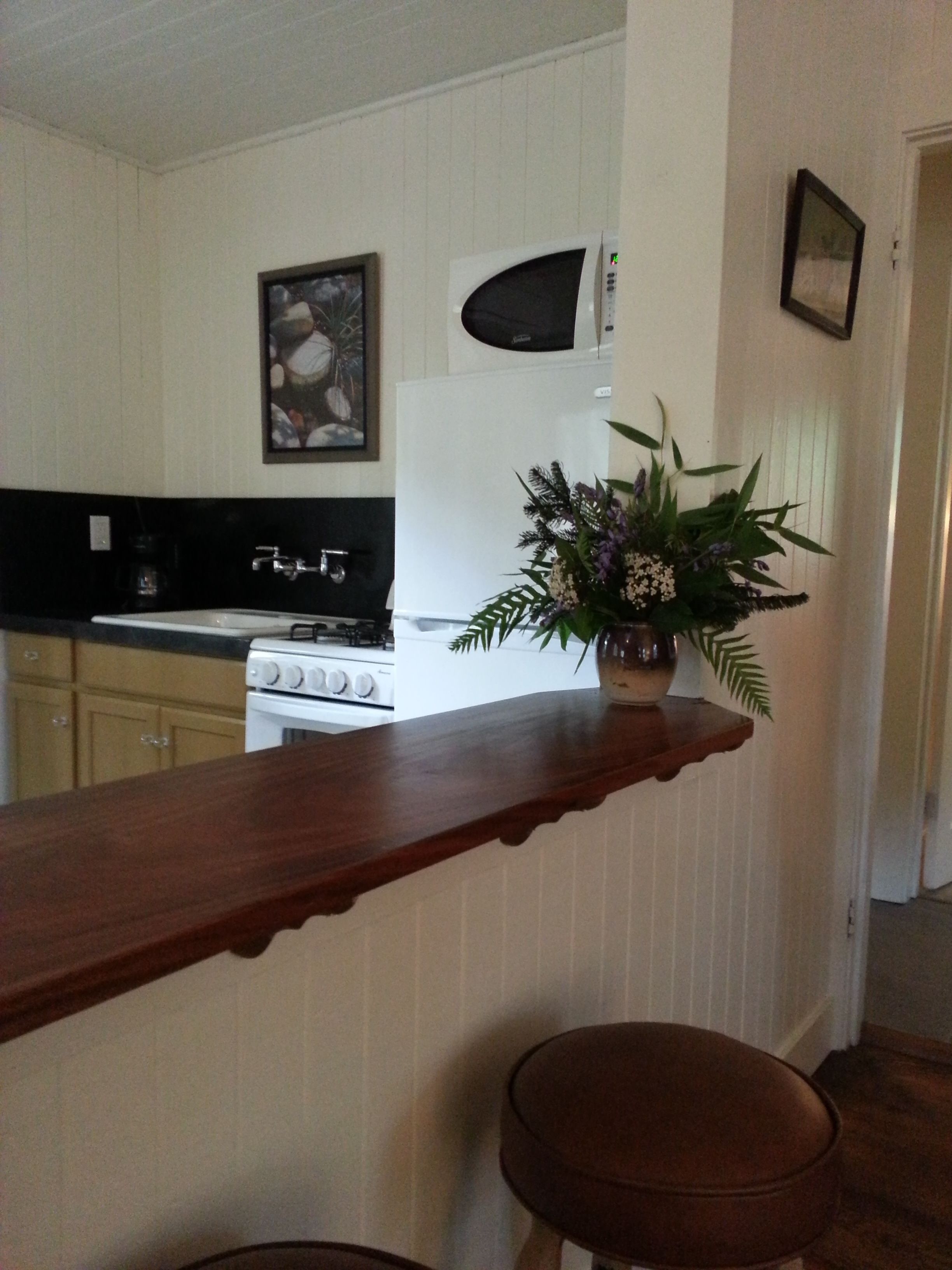 Cocina con estufa blanca, microondas y lavaplatos. Hay una barra de bar de madera con una planta encima.