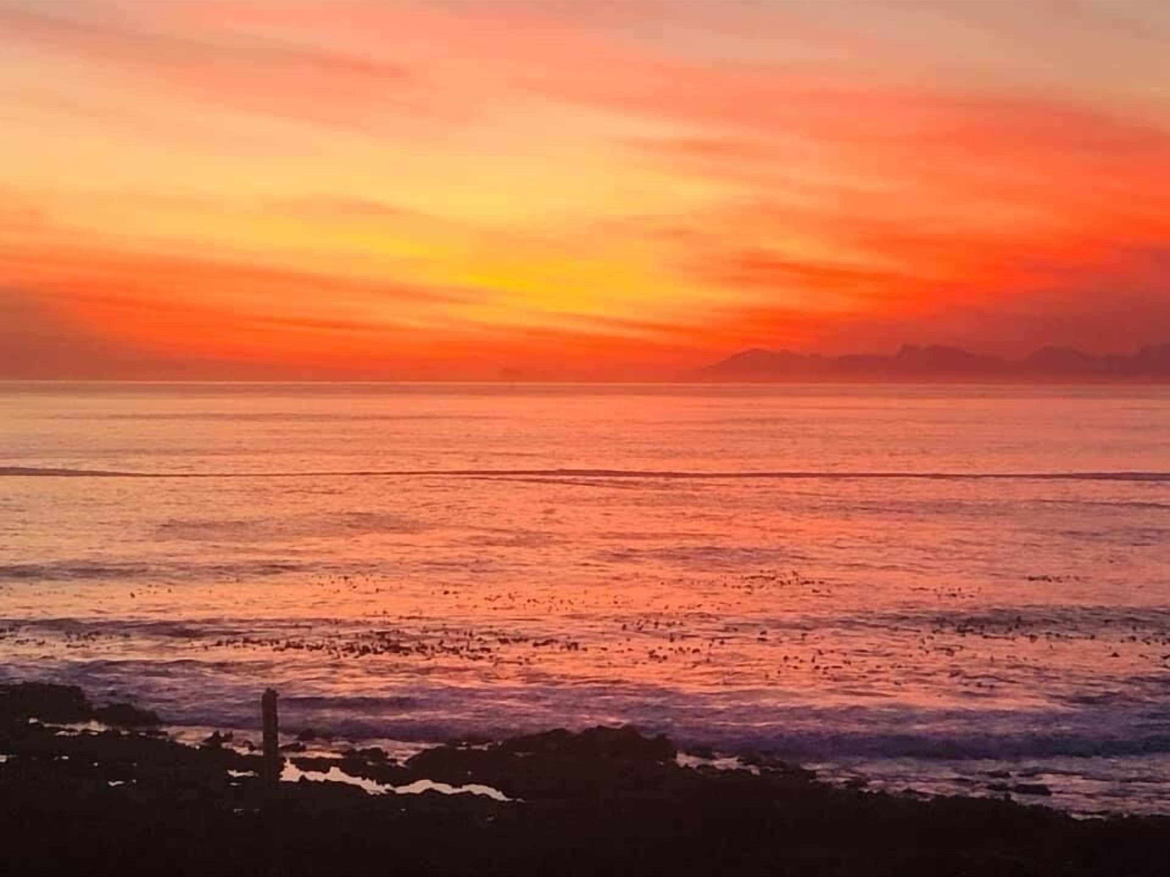 Superior-Haus, 4 Schlafzimmer, Meerblick, Meerseite | Terrasse/Patio