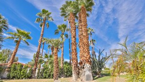 Tall palm trees in a landscaped area with a clear sky. - Private Pool Resort Home - Walk to Music Festivals Polo Grounds (Indio)