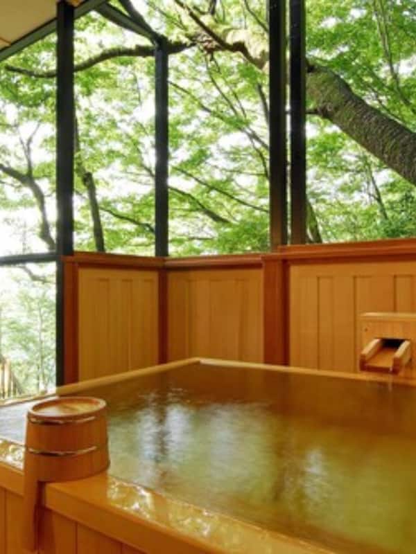 Relax Suite | Bathroom | Combined shower/tub, spring water tub, free toiletries, hair dryer