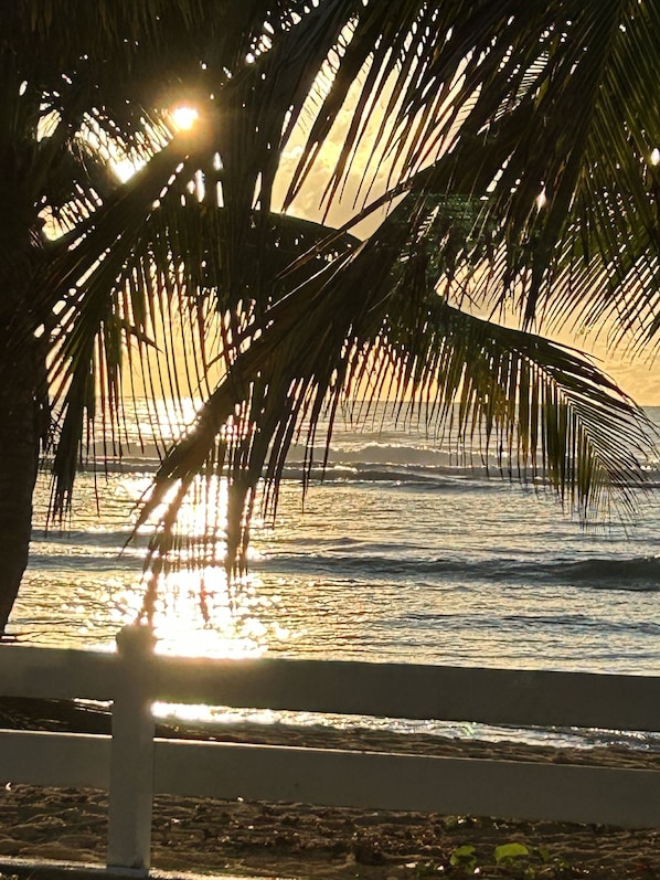 A beach scene with palm trees and the sun setting over the ocean.