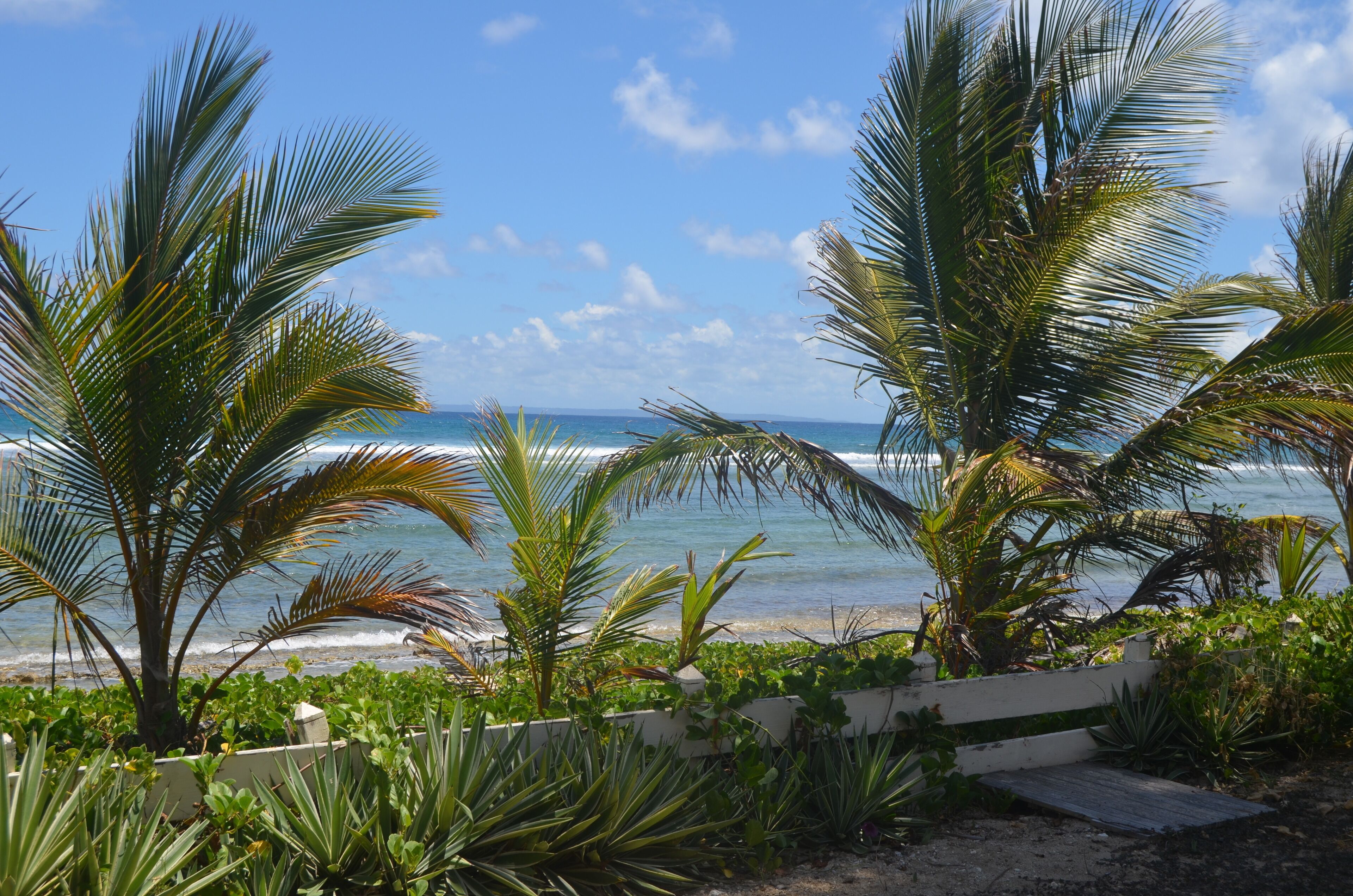 Sun-loungers, beach towels