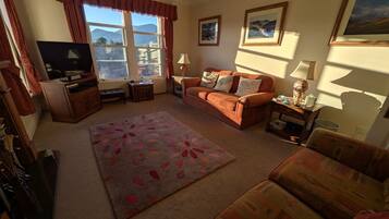 TV, fireplace, DVD player, books