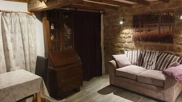 Télévision, cheminée, lecteur de DVD, livres