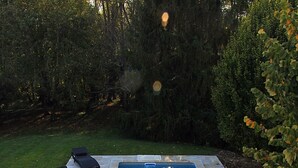 A rectangular swimming pool with a tiled deck, surrounded by greenery and trees.