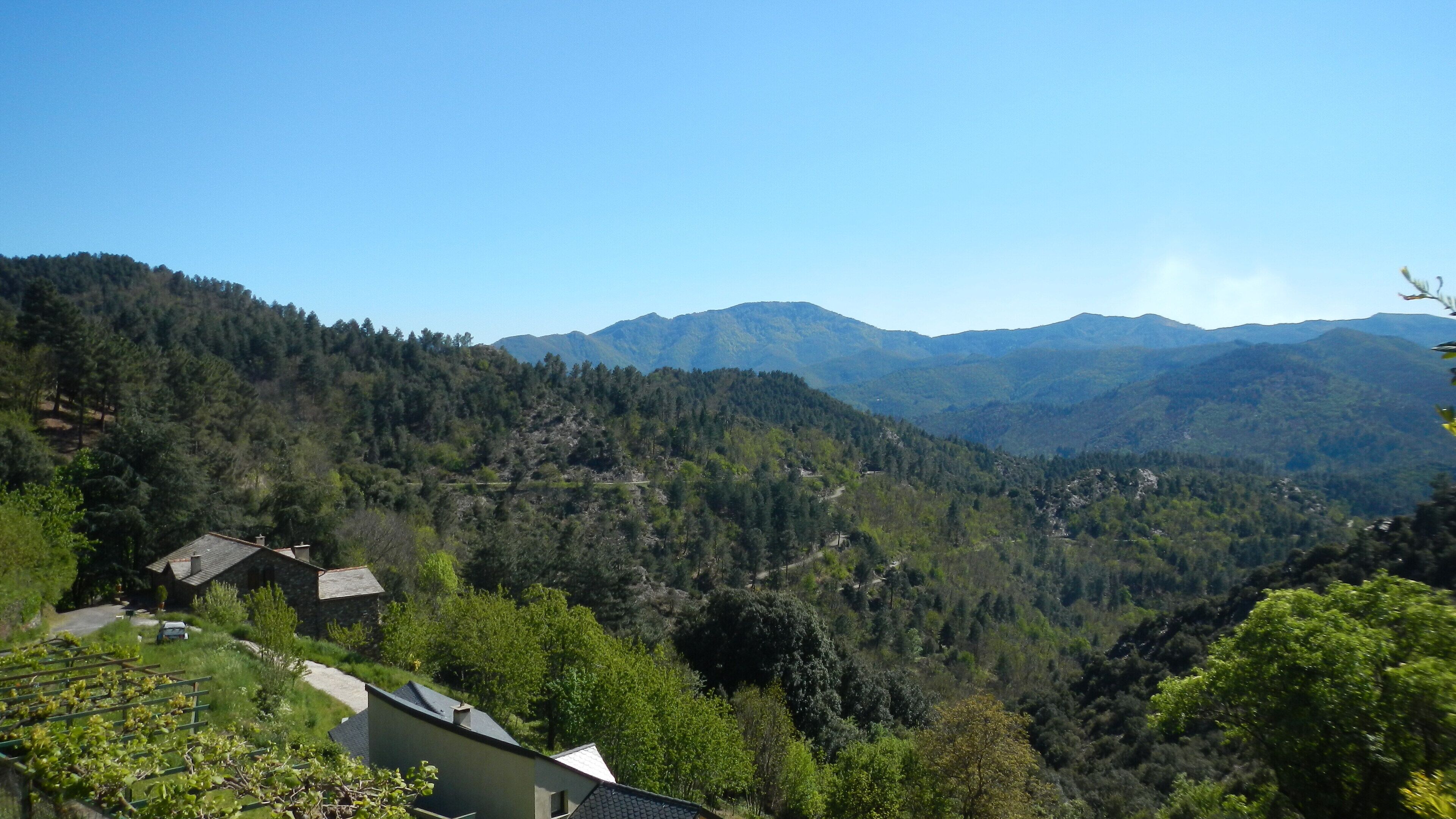 A rural landscape with a house surrounded by dense forest and mountains in the background.
