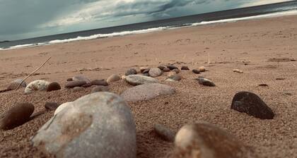 Stylish and Luxury Beach Cottage Located at the Award Winning Lunan Bay Scotland