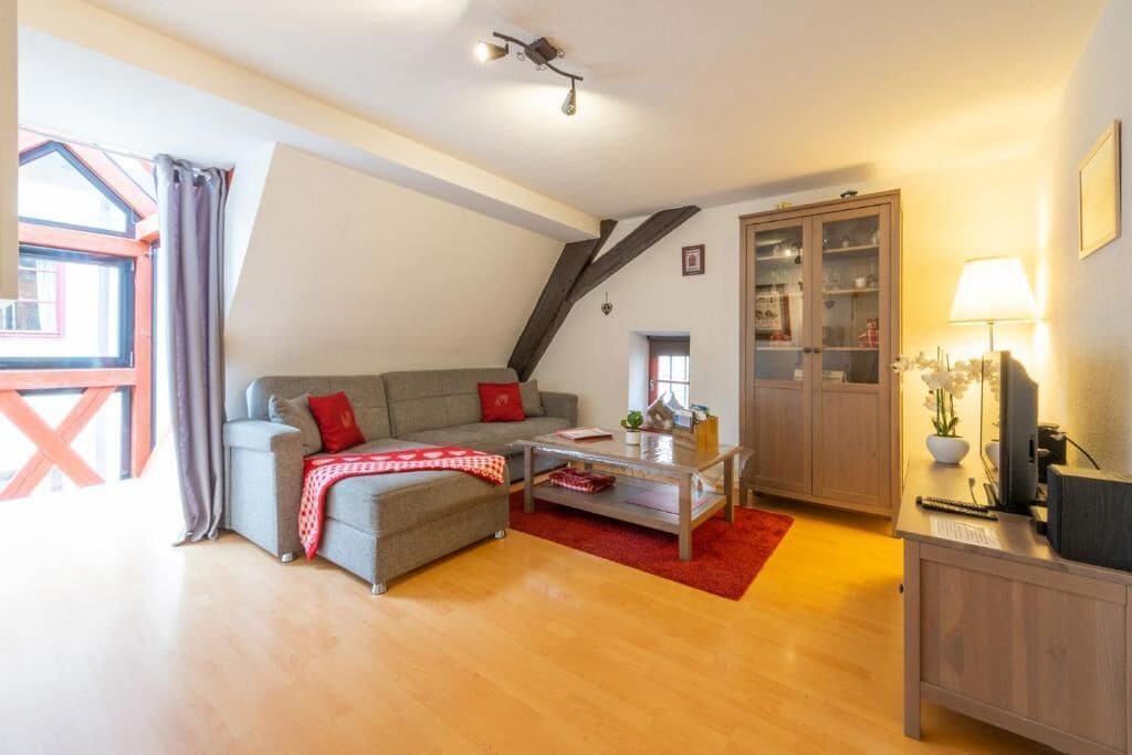 TV, DVD player, books, video library