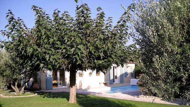 Ein Poolbereich mit einem Baum im Vordergrund und einem Gebäude im Hintergrund.