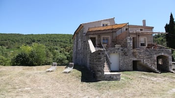 Eksteriør